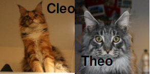 cleotheo